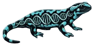 Batrachochytrium salamandrivorans