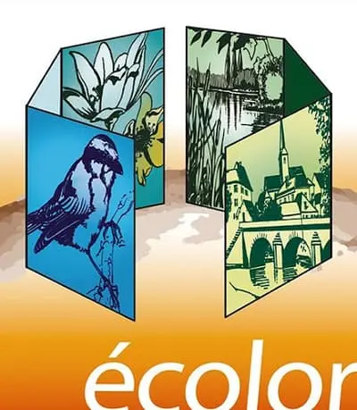Logo Bureau d'étude ECOLOR