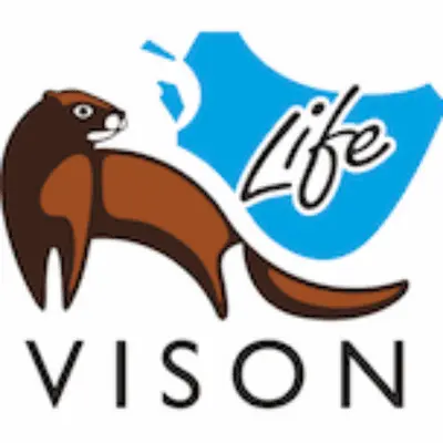 Logo Life Vison