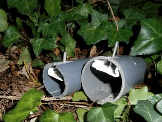 Tube à poils